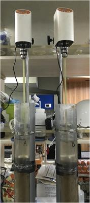 Metal regeneration during an ex-situ disturbance experiment on deep-sea sediments from the polymetallic nodule area of western Pacific